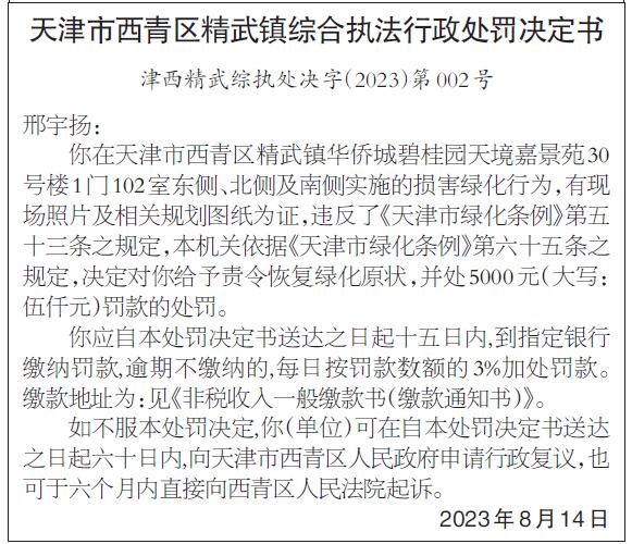 解读新澳205正版资料大全，最新版中文全文本的深度剖析