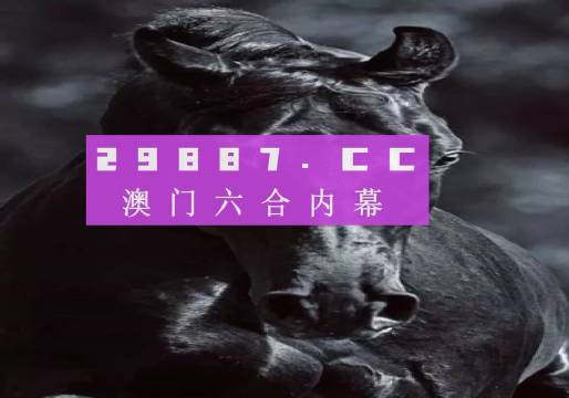 澳门开奖记录，探索最新结果的官方渠道