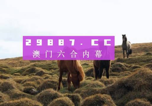 探索未来，新澳门开奖记录2035大全查询表下载指南