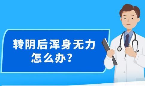 新澳精准资料，期期的精确指引与智慧选择