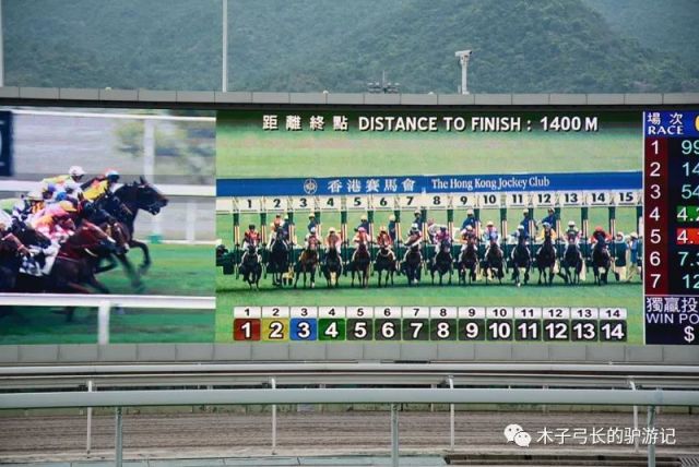 探索香港赛马文化，全面解析香港馬資料大資料大全