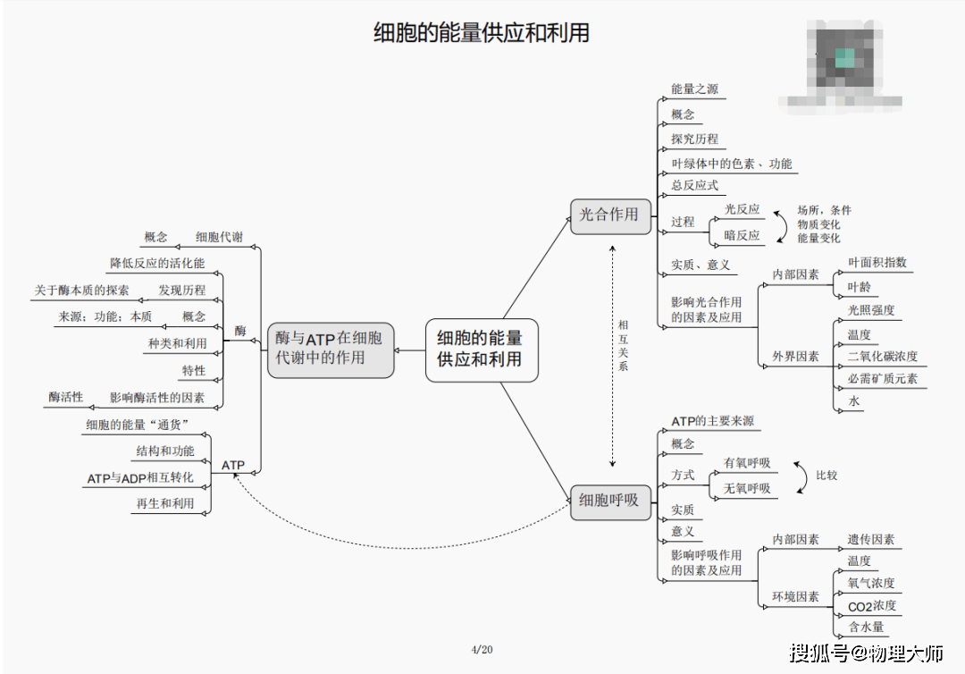 抓码王