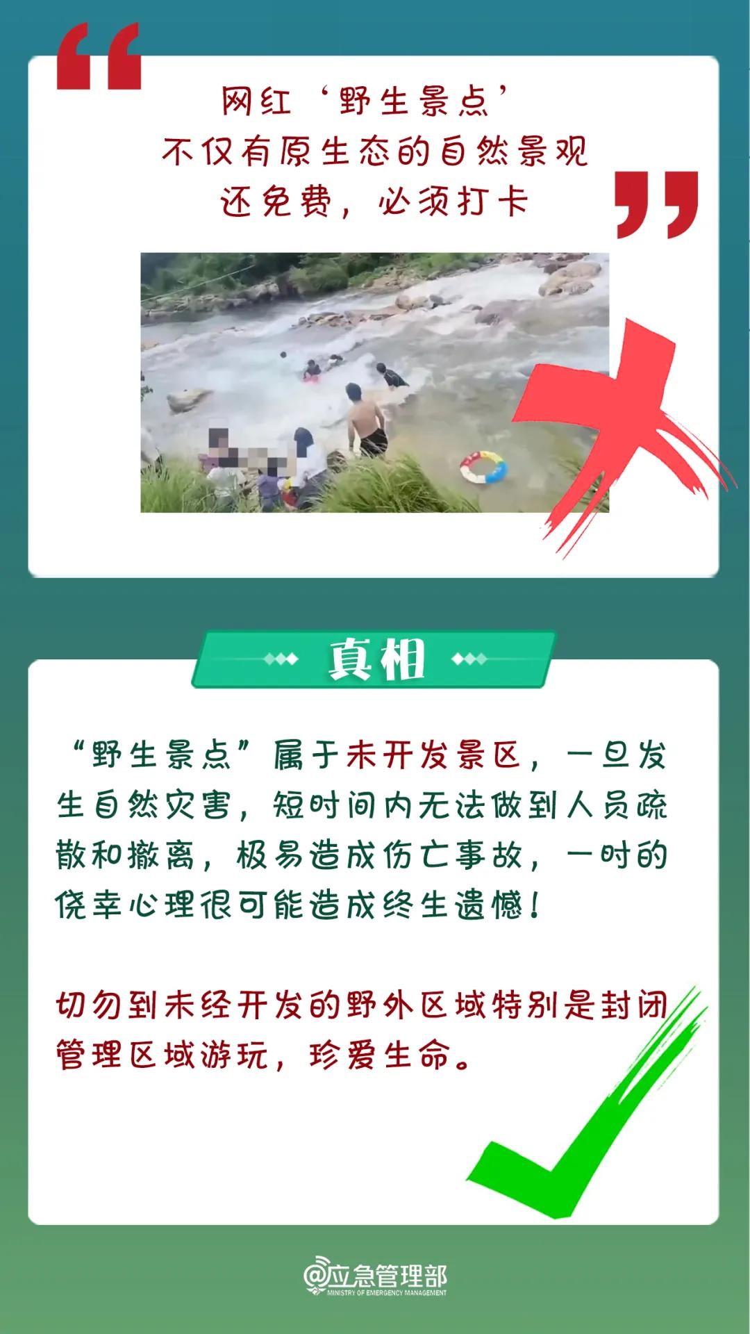 澳门49台精准免费资料大全，揭秘背后的真相与风险