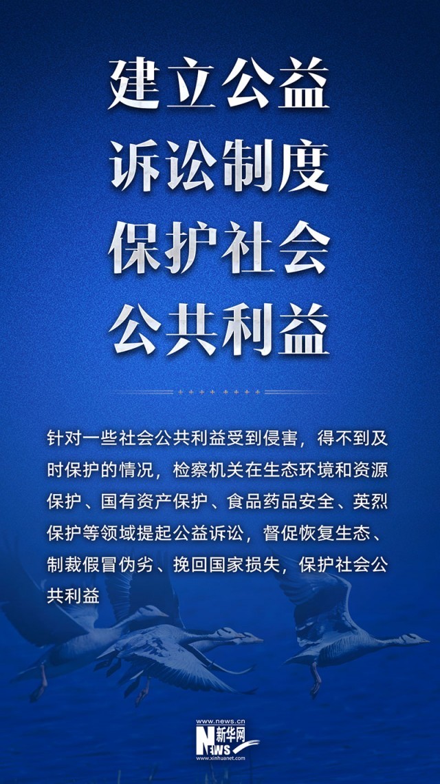 江鸽案二审，正义的坚守与法律的权威