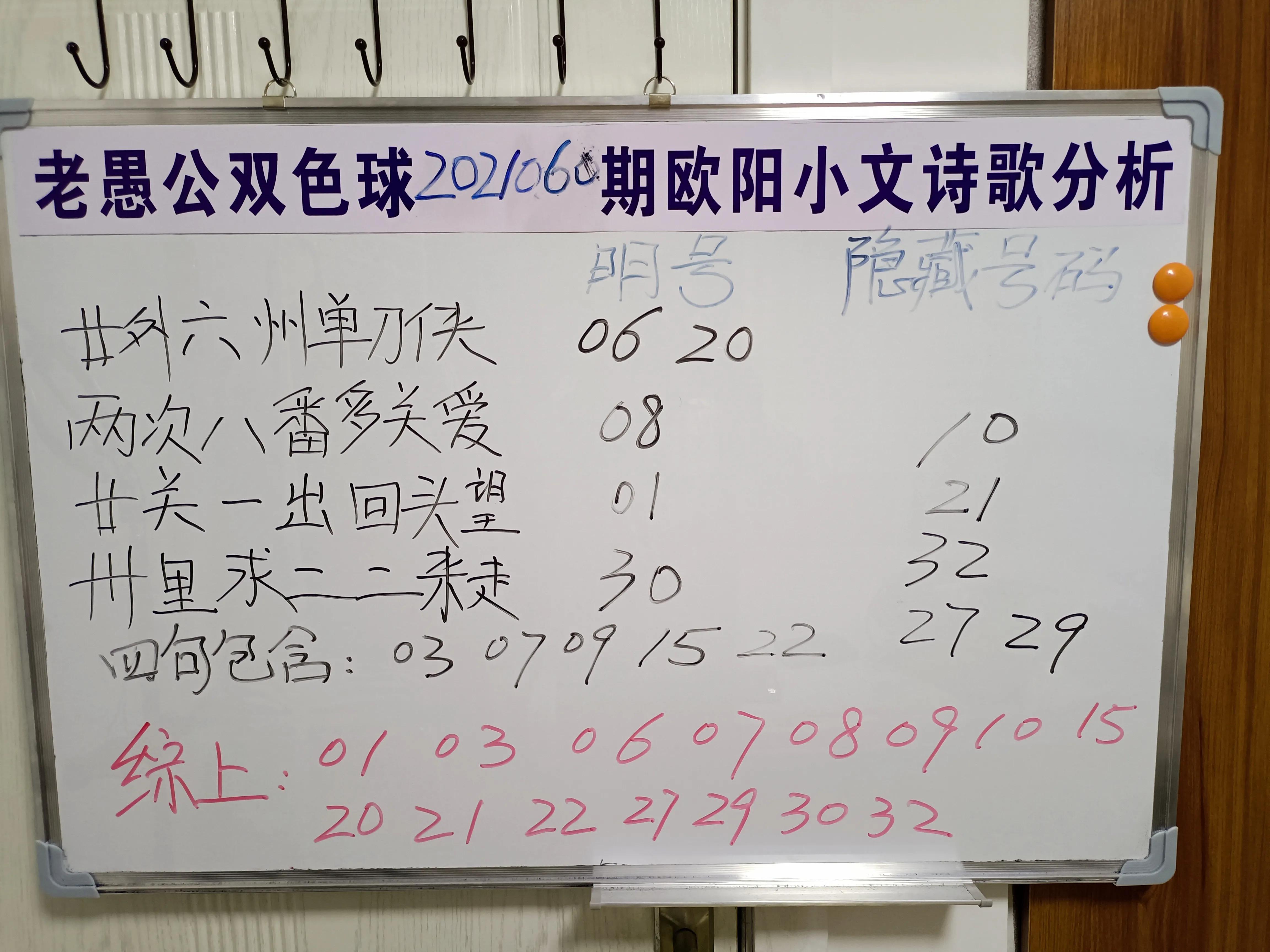 双色球字谜汇总牛彩——解锁彩票游戏中的智慧与乐趣