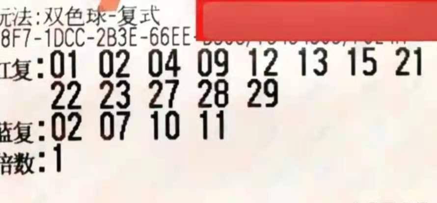 2048年双色球第19期，梦想与幸运的碰撞——揭秘开奖结果