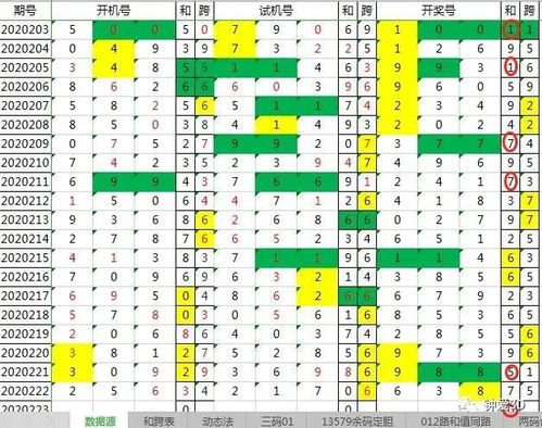 试机号绕胆图，揭秘彩票背后的神秘数字