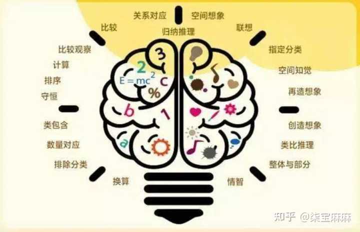 预测下一期7位数，科学方法与理性思考的交汇