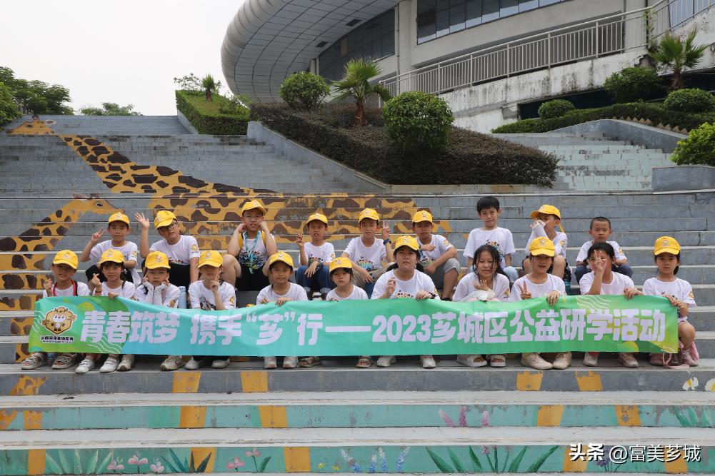 探索便捷学习之旅，学生信息网登录入口的全面解析