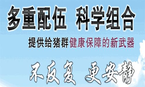 探索中国兽药信息网官方网站，保障动物健康与食品安全的新阵地