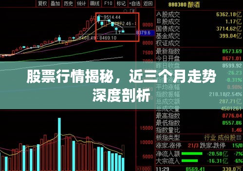 探索股市奥秘，三口基本走势图专业版深度解析