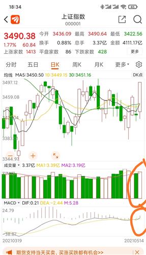 金码头与对应码关系