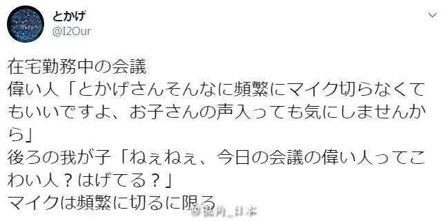 于海滨今日之举——一匹马的悲剧与反思