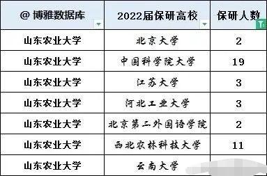 数字游戏与理性分析