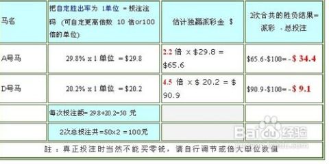 澳门一码中精准投注的奥秘，策略与技巧解析澳门一码中精准一码的投注技巧分享