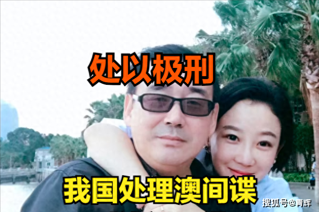 台湾选举最新消息结果查询，民主进程的又一里程碑台湾选举结果正式公布