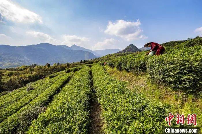 罗缘镇旅游融合