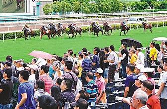 探索香港马会资料，历史、运营与影响香港赛马会资料信息唯一官方网站