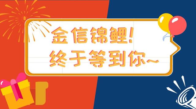 今日香港港六开奖揭晓，探寻幸运数字的奥秘与期待香港港六开奖结果今天开什么号码呢视频