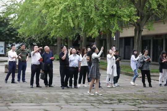 探索六合高手论坛，一个独特的交流平台高手论坛免费资料好