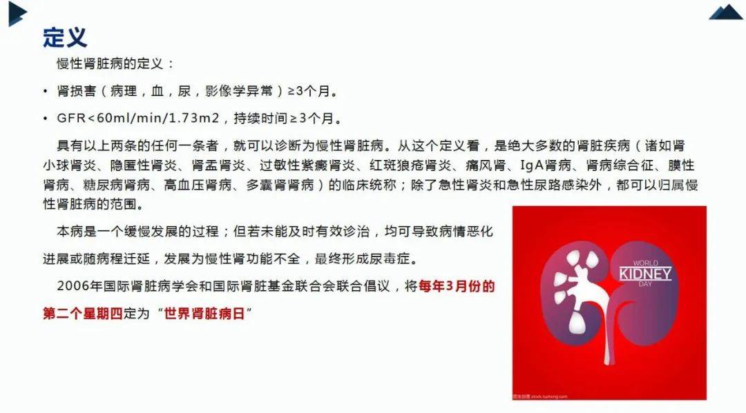 8度网上论坛，构建网络社区的温暖港湾八度论坛8cyber小说