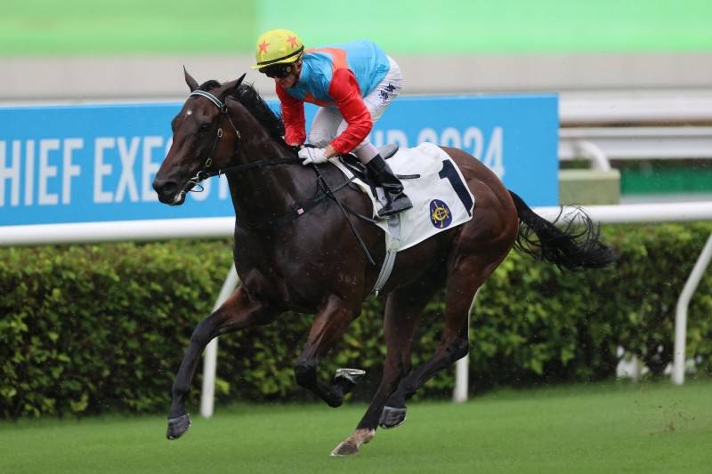 2019年香港马会资料大全，探索赛马的魅力与文化