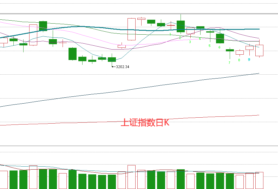 探索香港本港最快开奖结果，揭秘背后的技术与意义香港本港最快开奖结果235期