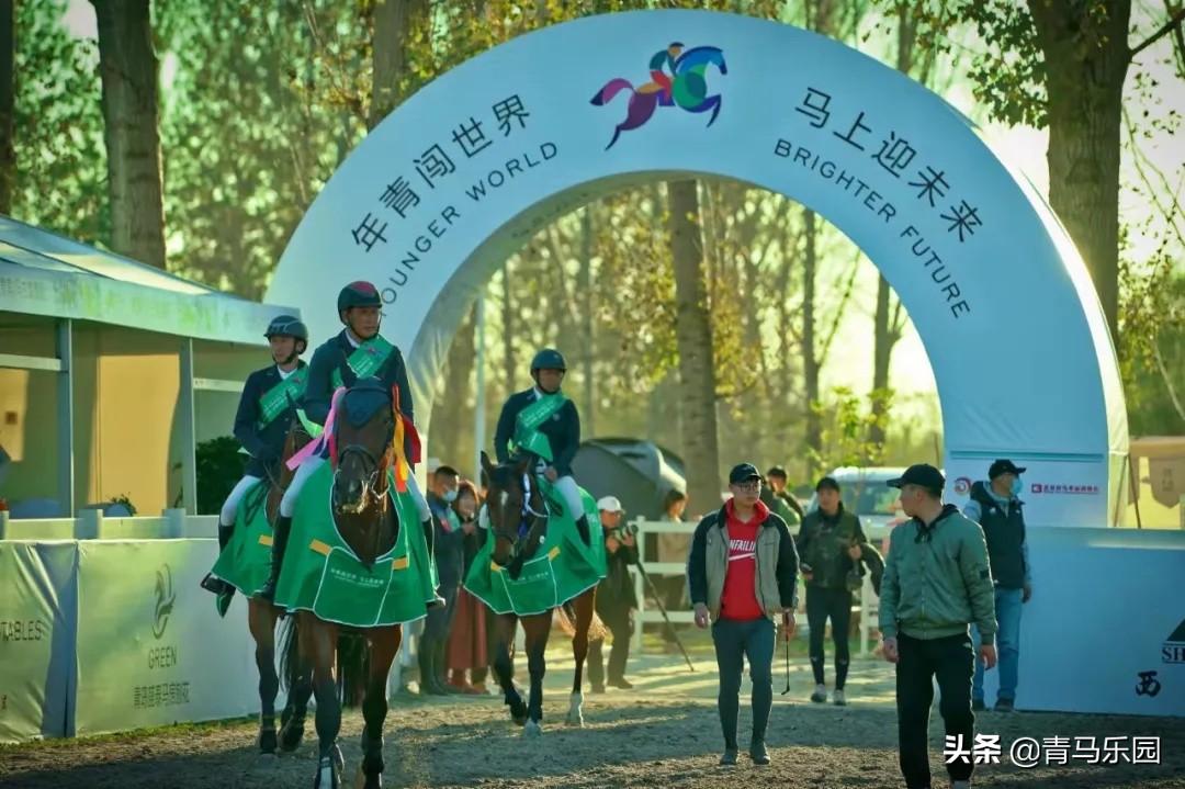 2019香港马会资料大全，免费获取与深度解析香港2021年马会资料大全