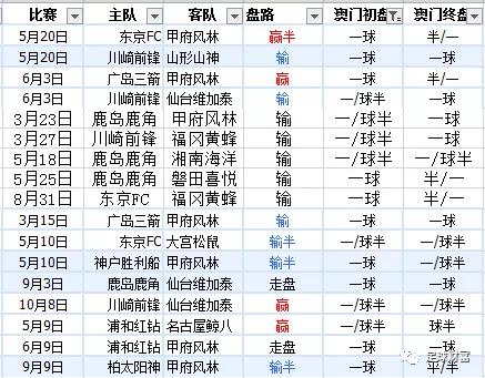 探索新澳门彩最新开奖记录，一张图片背后的故事与意义新澳门彩最新开奖记录查询表图片及价格