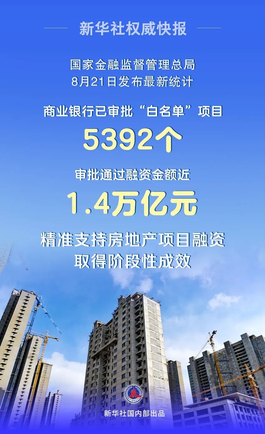 2046澳门精准正版资料，揭秘背后的真相与风险2024澳门精准正版资料大全免费